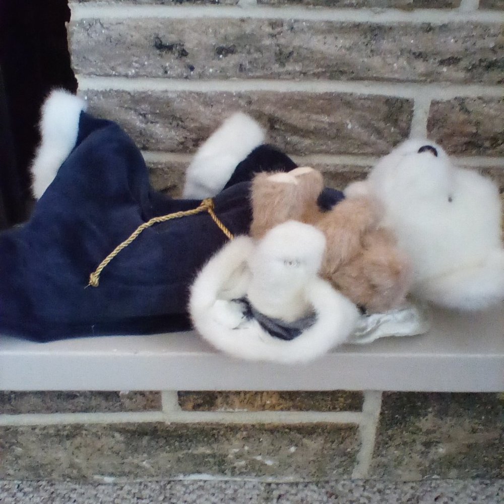 Boyd's bear - Picture 3 of 4
